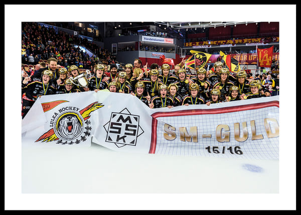 Poster SDHL Svenska Mästare 2016