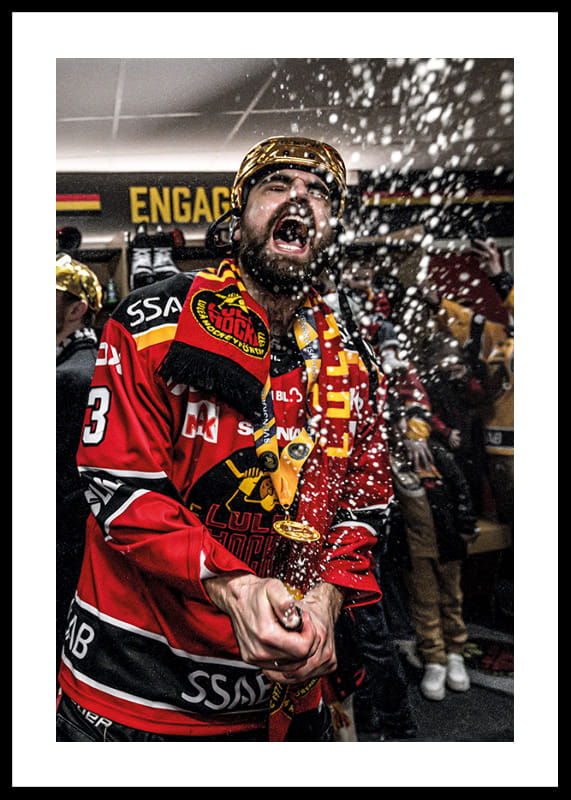 Poster Frédéric Allard Segervrål