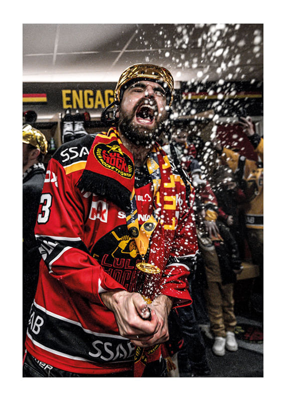 Poster Frédéric Allard Segervrål