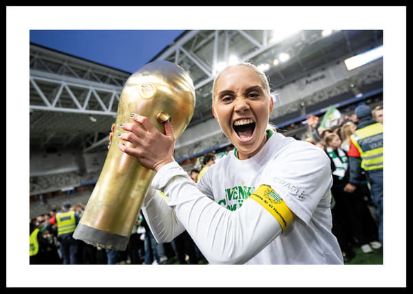 Poster Svenska Cupmästare 2025 No7 Hammarby IF