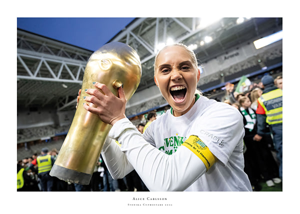 Poster Svenska Cupmästare 2025 No7 Hammarby IF
