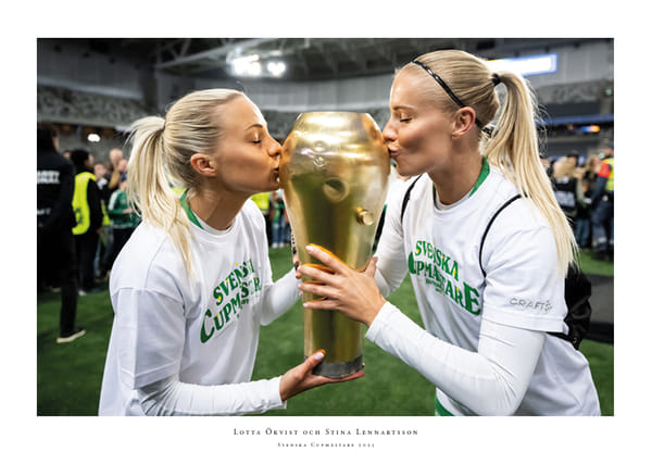 Poster Svenska Cupmästare 2025 No5 Hammarby IF