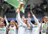 Svenska Cupmästare 2025 Hammarby IF-3