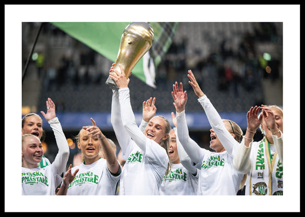Poster Svenska Cupmästare 2025 No4 Hammarby IF