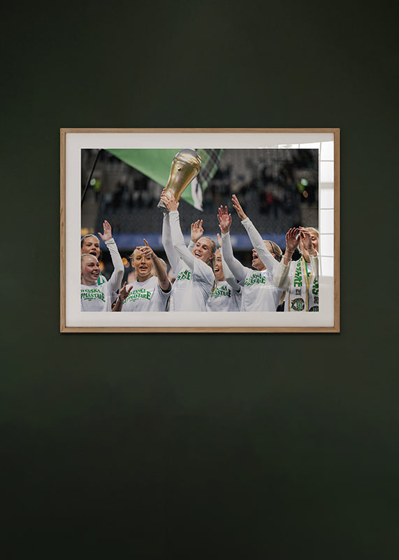 Svenska Cupmästare 2025 Hammarby IF-12