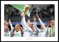 Svenska Cupmästare 2025 Hammarby IF-0