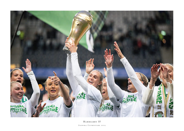 Poster Svenska Cupmästare 2025 No4 Hammarby IF