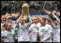 Svenska Cupmästare 2025 Hammarby IF-4