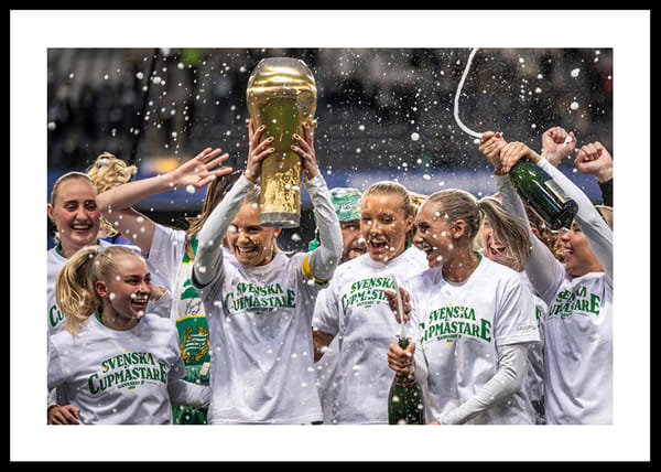 Poster Svenska Cupmästare 2025 No3 Hammarby IF