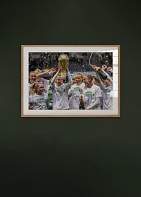 Svenska Cupmästare 2025 Hammarby IF-6