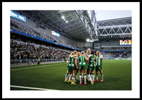 Svenska Cupmästare 2025 Hammarby IF-2