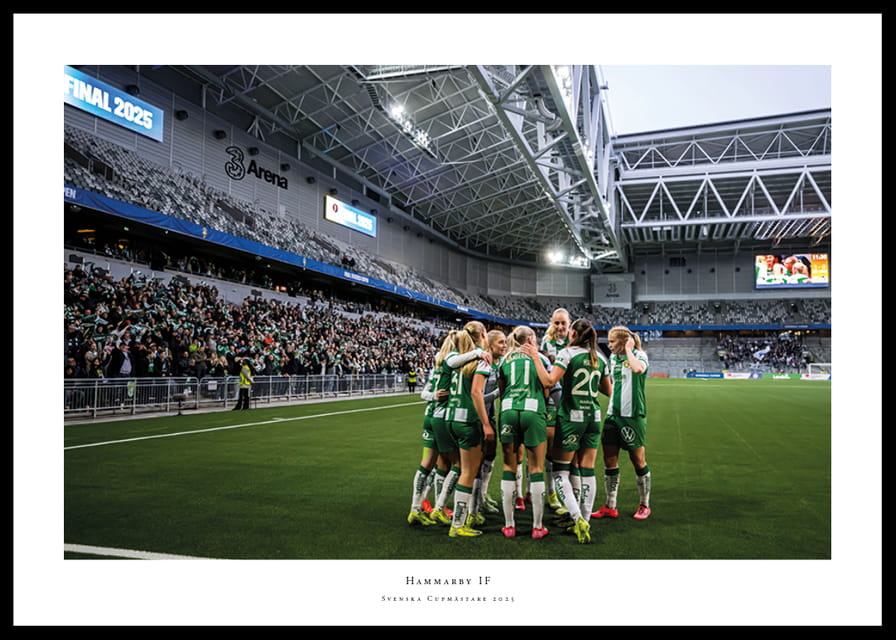 Svenska Cupmästare 2025 Hammarby IF-12