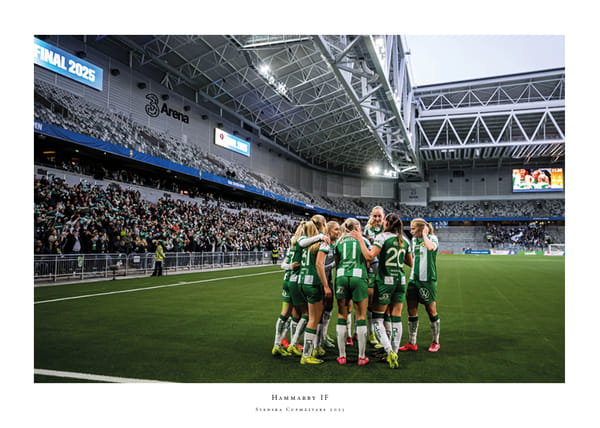 Poster Svenska Cupmästare 2025 No2 Hammarby IF