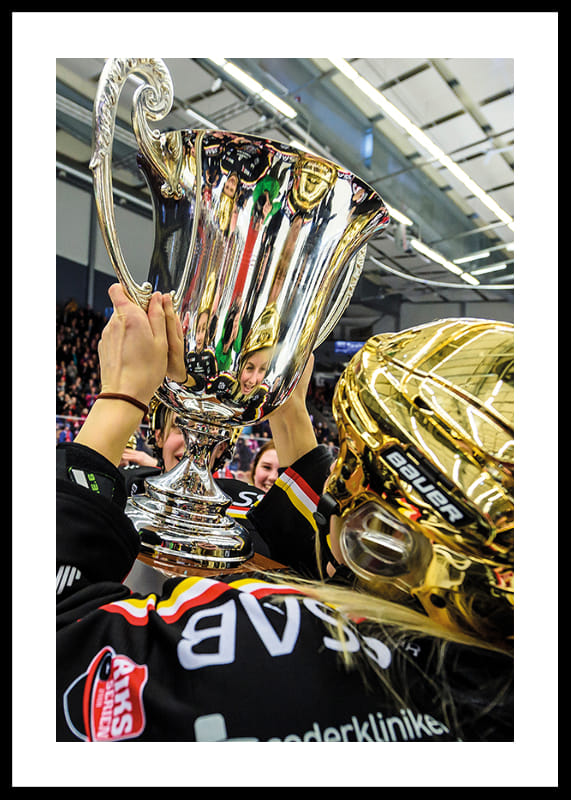 Poster Lyfter segerbucklan 2015/2016