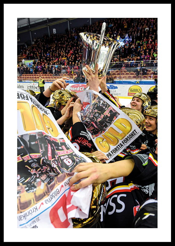 SM Guld Flyers No.1 2015/2016-12