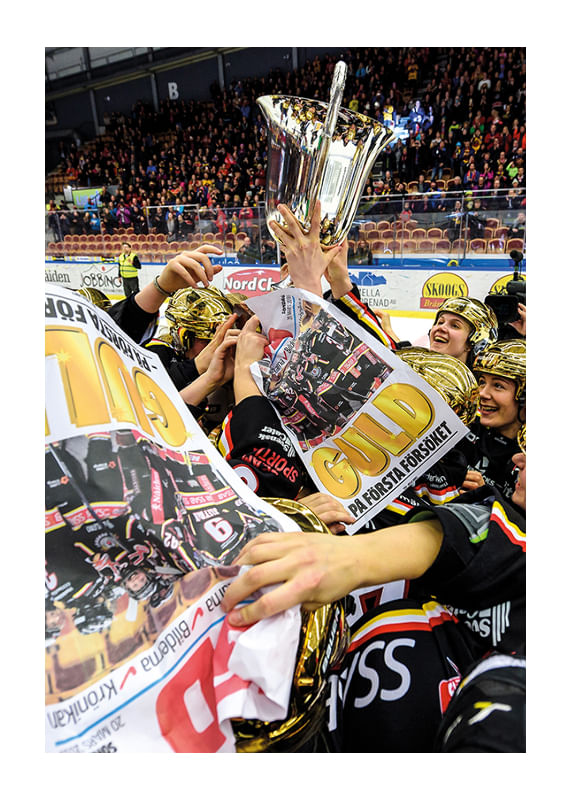 SM Guld Flyers No.1 2015/2016-12