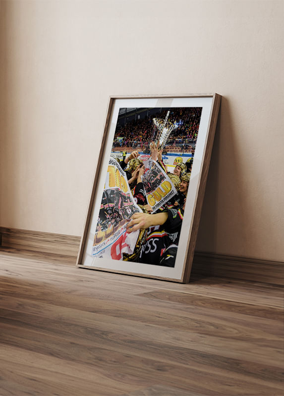 Poster SM Guld Flyers No.1 2015/2016 crossfade