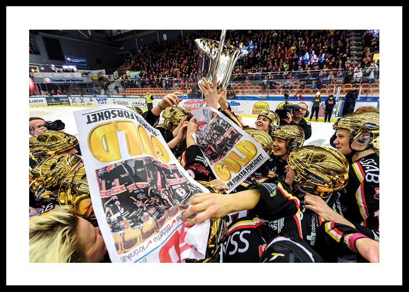 SM Guld Flyers No.2 2015/2016-12