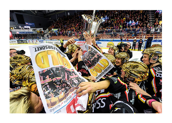 Poster SM Guld Flyers No.2 2015/2016