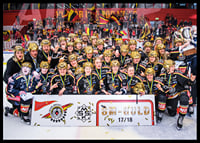 SDHL Svenska mästare 2018-2