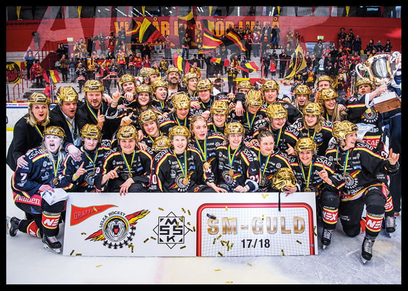 SDHL Svenska mästare 2018-12