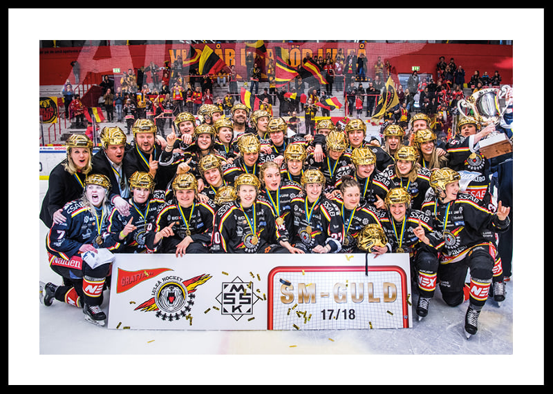 SDHL Svenska mästare 2018-12