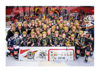 SDHL Svenska mästare 2018-1
