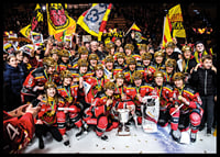 SDHL Svenska mästare 2019-2