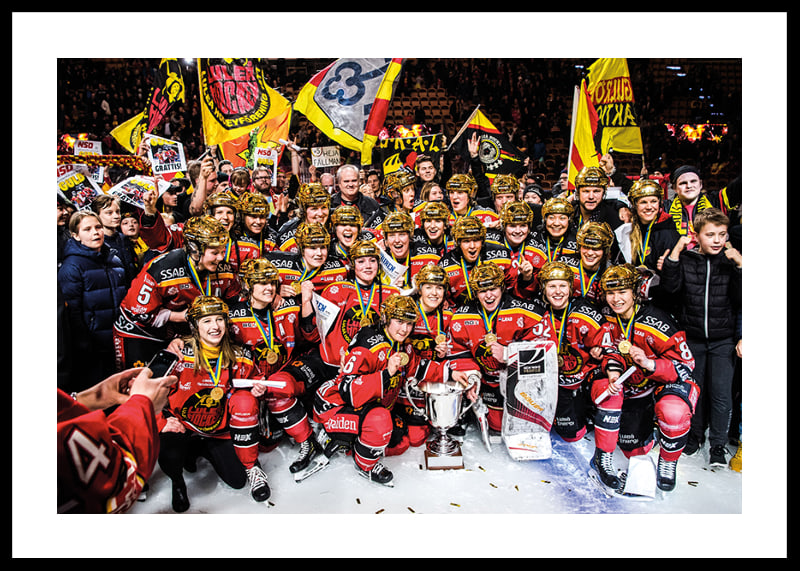 SDHL Svenska mästare 2019-12