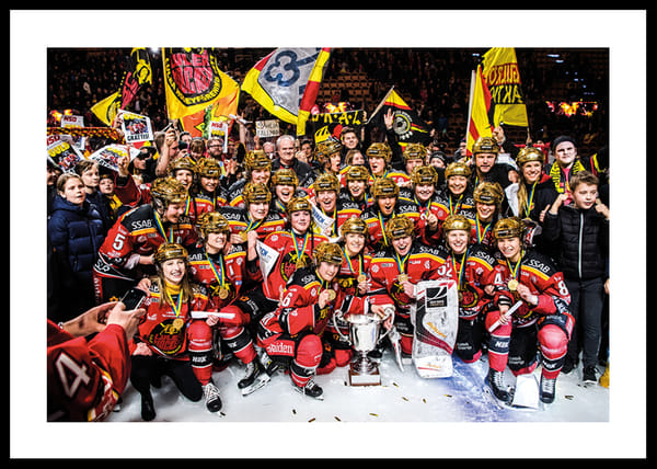 Poster SDHL Svenska mästare 2019