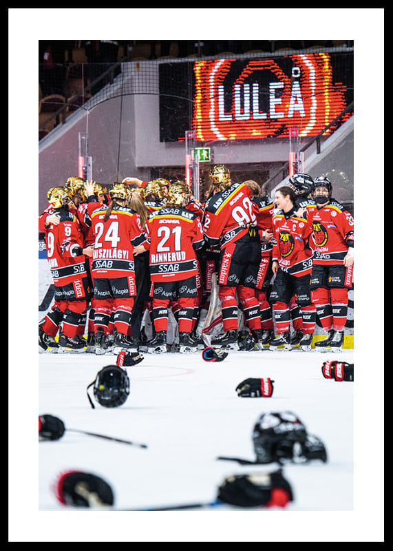 Poster Guldfirande Dam 2019