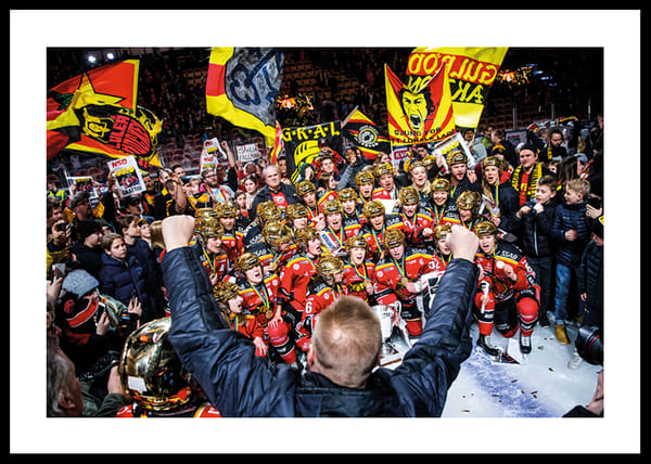 Poster Segerjubel Dam 2019