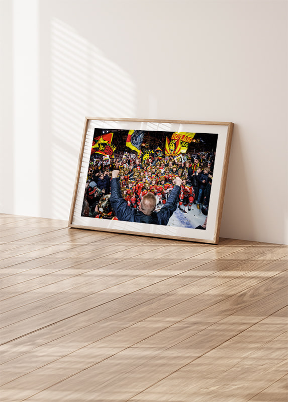 Poster Segerjubel Dam 2019 crossfade