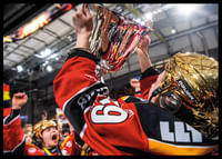 Höjer bucklan 2019-2
