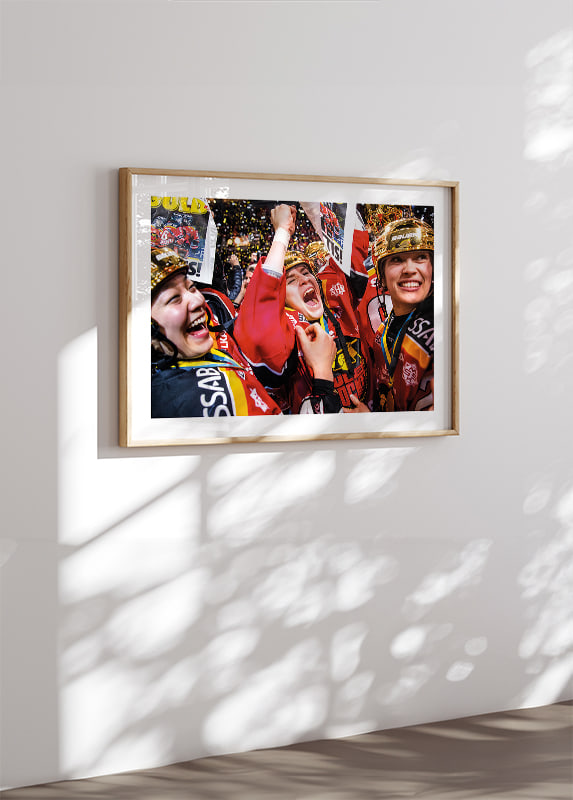 Segereufori 2019-12