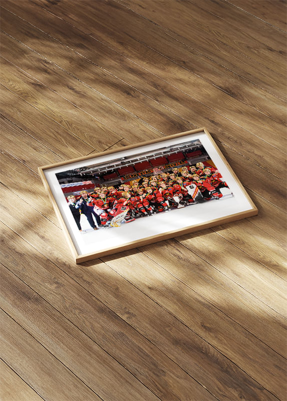 Poster SDHL Svenska mästare 2021 crossfade