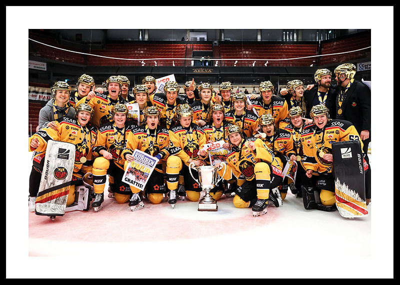 SDHL Svenska mästare 2022-12