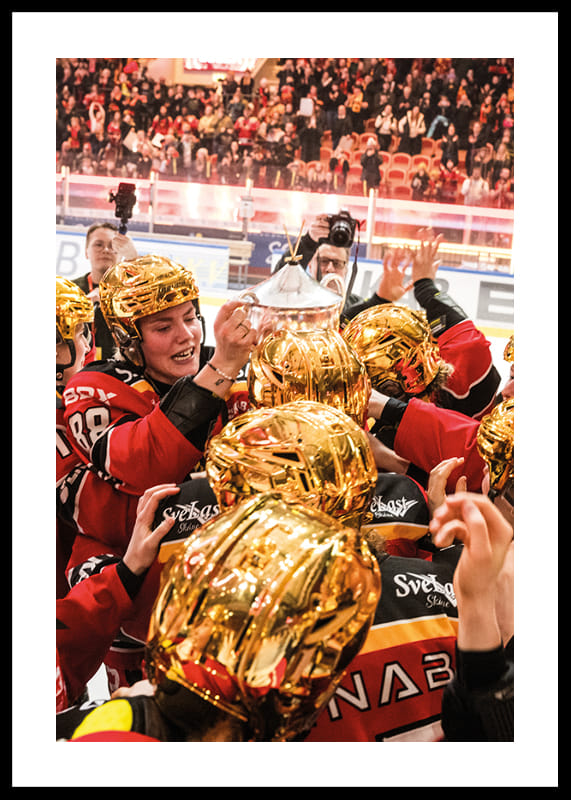 Poster Guldhjälmarna 2024