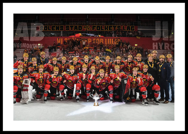 Poster SDHL Svenska mästare 2024