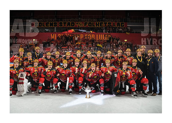 Poster SDHL Svenska mästare 2024