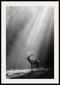 A majestic deer stands in a forest glade where the sun's rays break through the fog.-2
