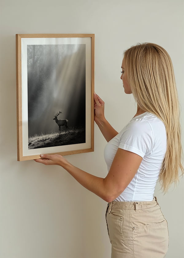 Póster Majesty In The Mist crossfade