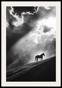 Un cal singuratic stă conturat pe un deal sub razele dramatice de lumină printre nori.-2