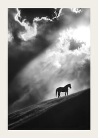 Un cal singuratic stă conturat pe un deal sub razele dramatice de lumină printre nori.-3