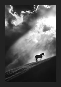 Un cal singuratic stă conturat pe un deal sub razele dramatice de lumină printre nori.-5