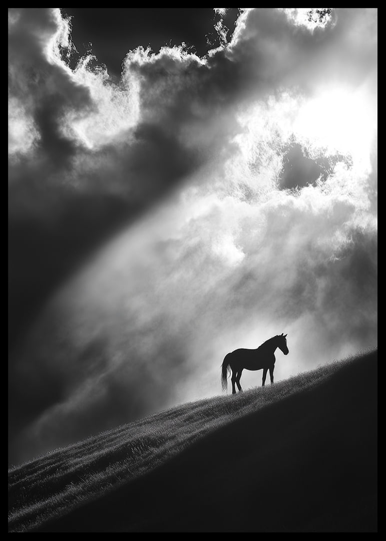 A lone horse stands silhouetted on a hill under dramatic rays of light through the clouds.-12