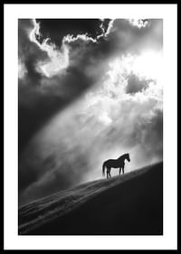 A lone horse stands silhouetted on a hill under dramatic rays of light through the clouds.-0