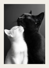 Een zwart-witte kat ligt dicht bij elkaar in een liefdevol moment.-3