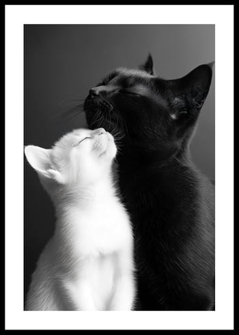 Poster Yin And Yang Cats