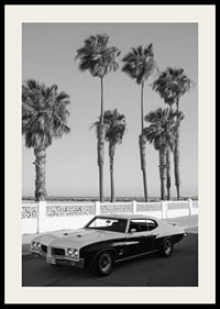 A classic muscle car is parked by the sea under swaying palm trees.-2